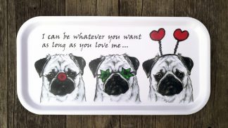 "I can be whatever you want" - 43cm x 22cm