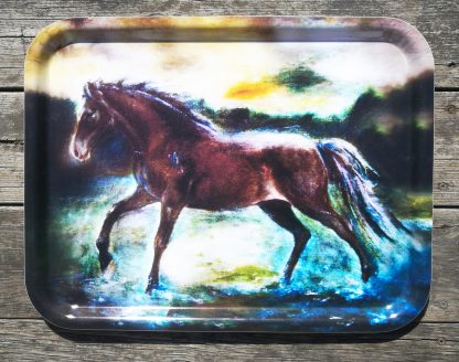 "Häst" - 43cm x 33cm
