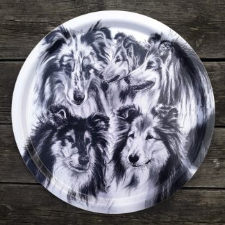 "Collie" - 39cm