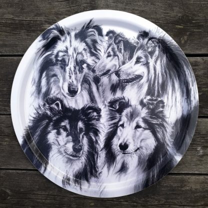 "Collie" - 39cm