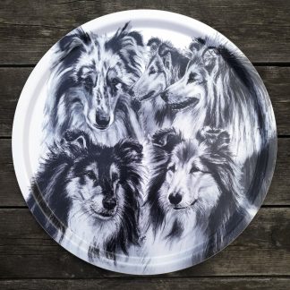 "Collie" - 46cm