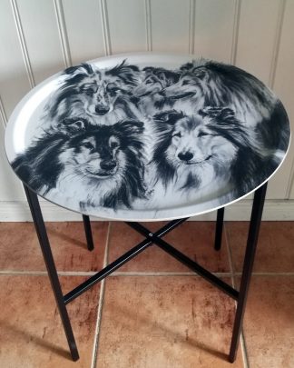 Brickbord "Collie" 46cm
