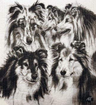 Disktrasa "Collie"