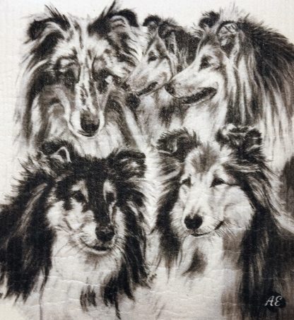 Disktrasa "Collie"