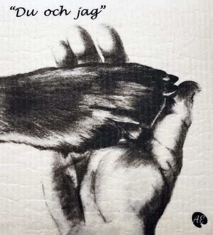 Disktrasa "Du & Jag"