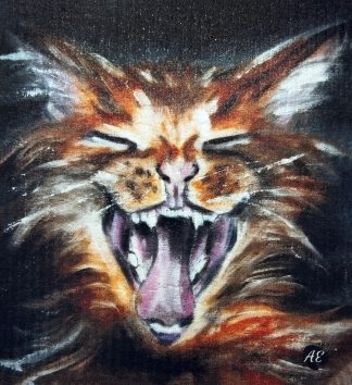 Disktrasa "Knaskatt"